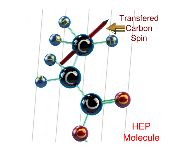 Hyperpolarization LabView Software